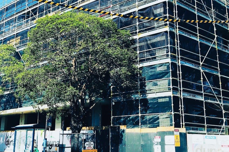 Remedial Project 5 - Dyna - Canterbury NSW